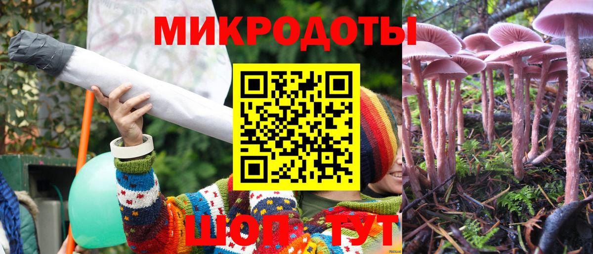 Галлюциногенные грибы GOLDEN TEACHER Моршанск
