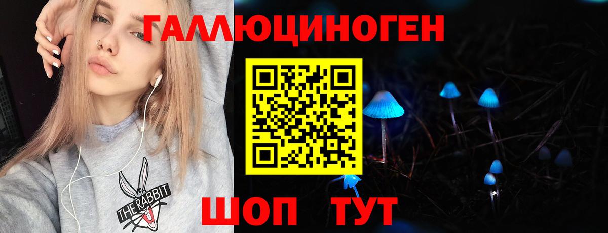 Псилоцибиновые грибы Psilocybine cubensis  Вход с VPN  Моршанск  Галлюциногенные грибы мицелий 